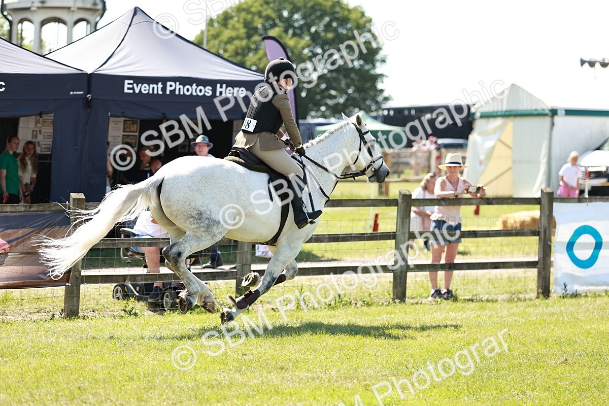 SBM_18305 - Class 112-113 - BSPS LIHS Working Sports Pony