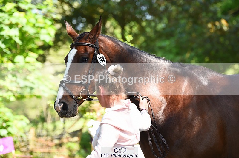 230524-153814-00409 - 368-COIRBAN_SARCO_DELUX-Rebecca_Gibbs-WEDTrotUp+DR