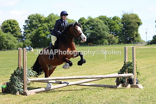 IMG_3473 - Working Hunter