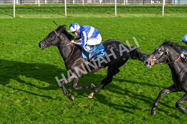 111024-Race 6-Fondo Blanco-2154 - Race 6 4.20pm William Hill EBF Novice Stakes