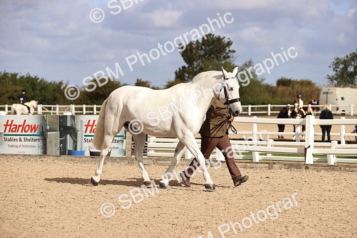 SBM_10364