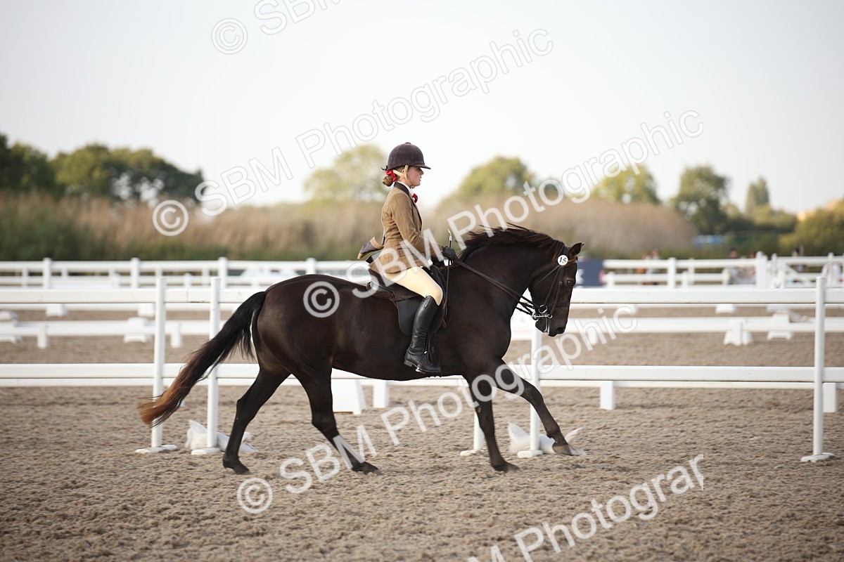SBM_09197 - Regional Ridden Champ