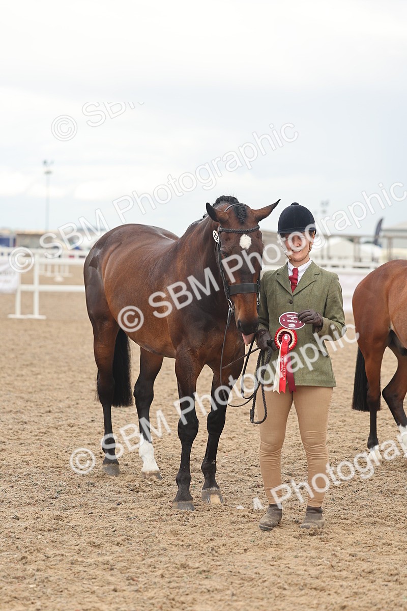 SBM_07938 - Class 28 - IH Veteran Horse