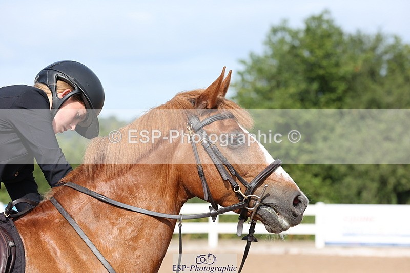 240629A-091758-02905 - Cls 16 British Novice and 80cm Open