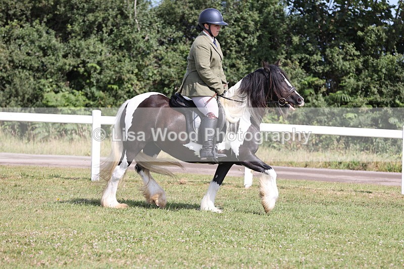 JPP_1082 - Class 17: Cornish Combination Open