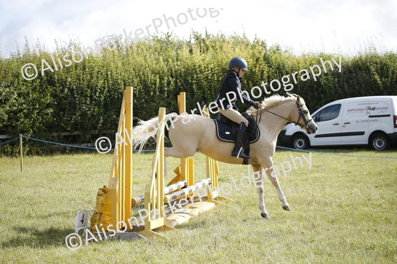 20250831-0207 - Class 1 - 50cm