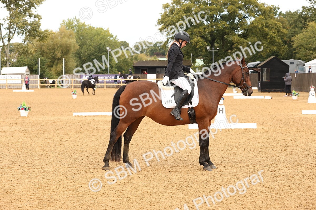 SBM_40650 - D6 - Small Tour Championship Intro 4