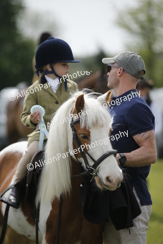 20260426-2171 - Class 9 - Handsomest Gelding