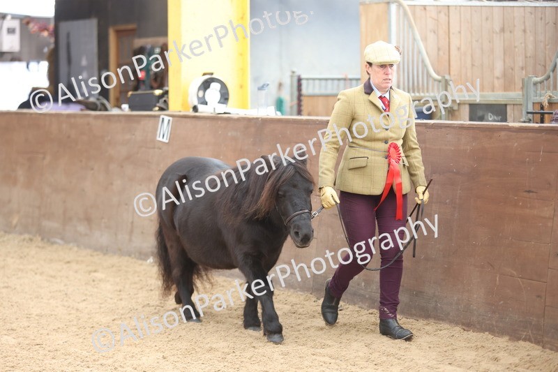 20251109-0114 - Championship