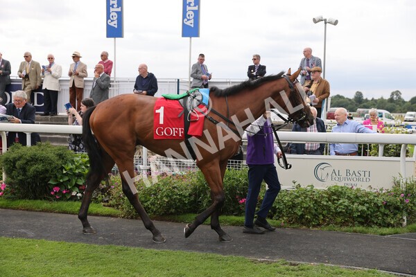yr18082022r2-5 - Race 2 2.25pm Goffs UK Harry Beeby Premier Yearling Stakes