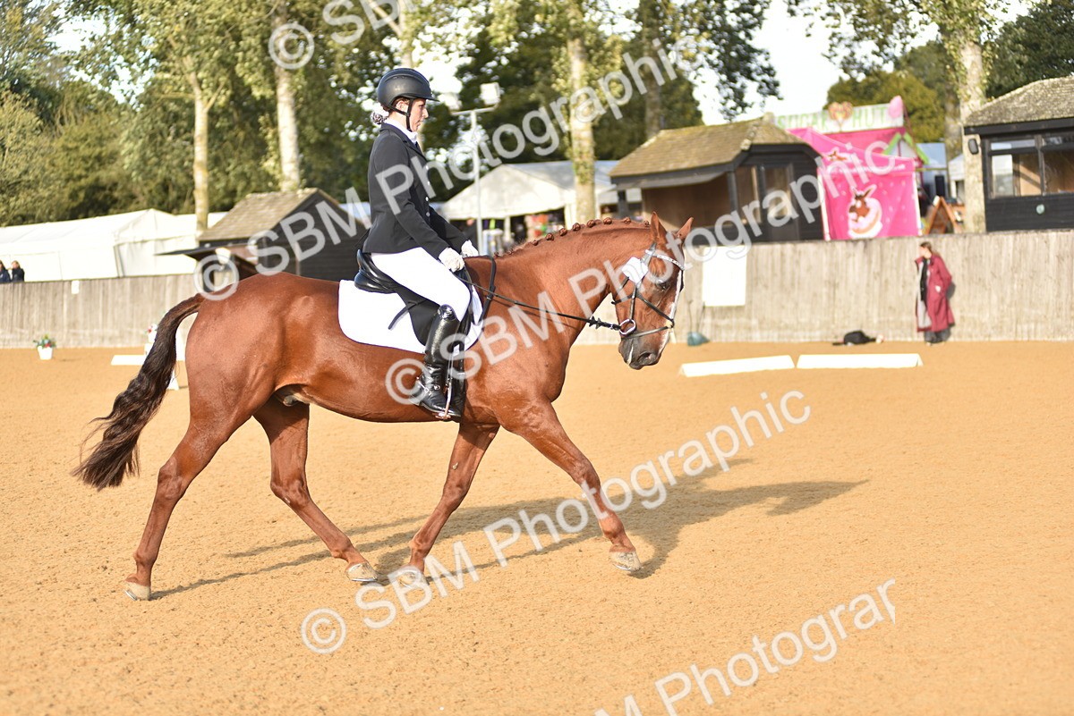 SBM_29716 - D16 -Small Tour Championship Novice 2