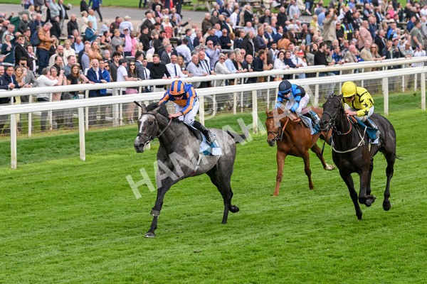 160524-Race 7-London City-6848 - Race 7 5.20pm Collective Green Energy Handicap