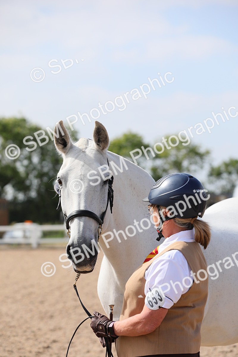 SBM_15741 - Class 312 IH Competition Horse/Pony