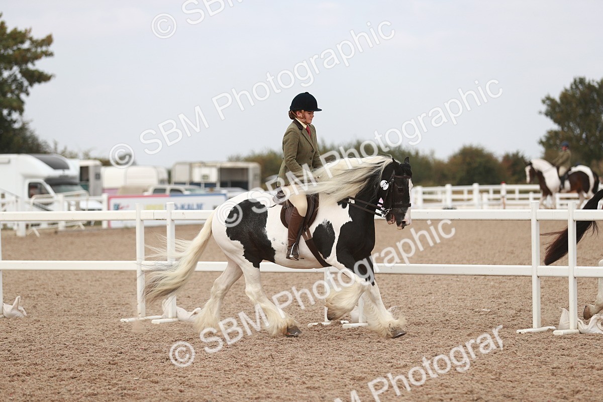 SBM_16673 - Class 214 Ridden Cob