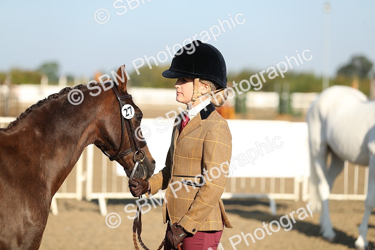 SBM_00035 - Class 40 Best Turned Out IH