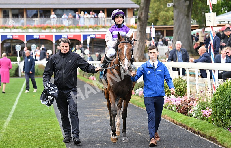 200826-177 Mia Fantasia - Race 6 16.45pm Mews Hotel Ossett EBF Stallions Nursery Handicap