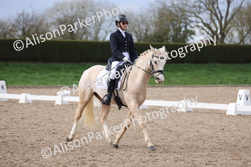 20260301-0632 - Class 4 - Novice 5