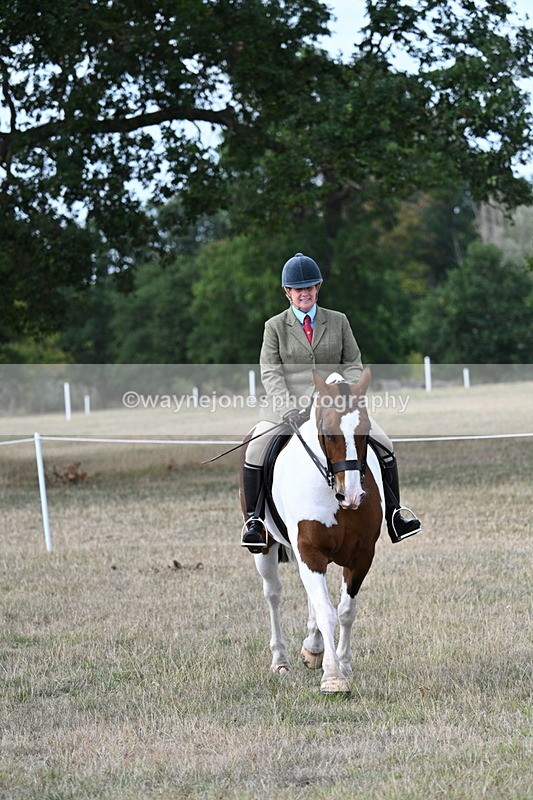 WJ7_7240 - Class 14 Ridden Coloured