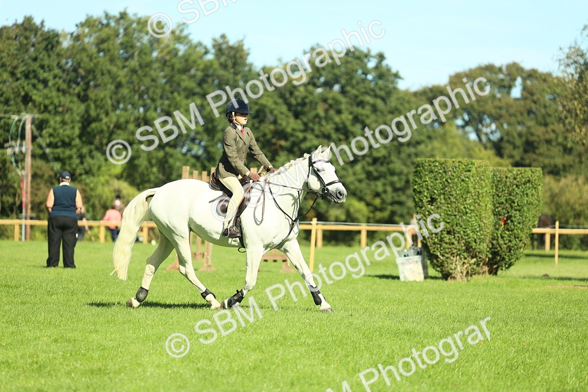 SBM_39118 - S29 - Novice & Newcomers Working Hunter Pony