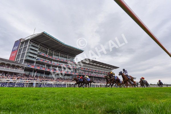 230825-Race 5-Northern Ticker-9921 - Race 5 4.10pm Sky Bet Constantine Handicap