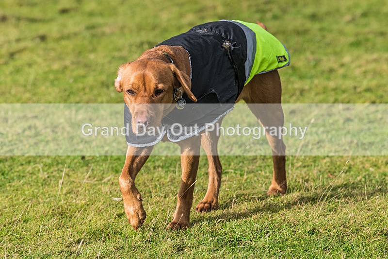 Loopy Latrigg-841 - Kong Running Loopy Latrigg Fell Race Saturday 20th December 2025