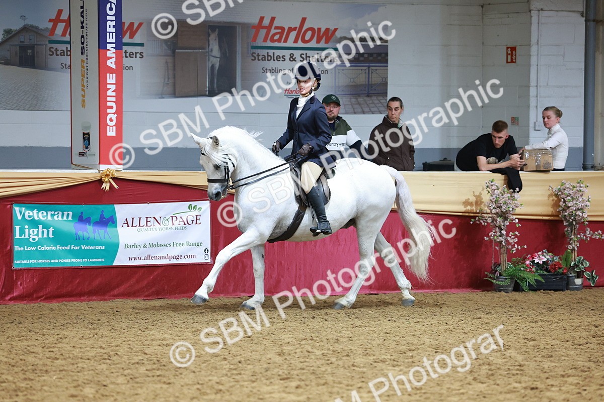 SBM_18781 - Class 952 - M&M Ridden Supreme Final