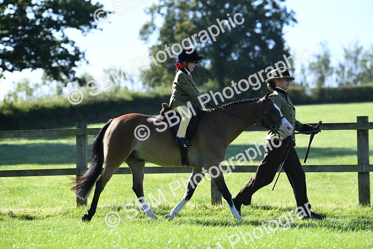 SBM_36751 - S18 - Novice & Newcomers Lead Rein Pony