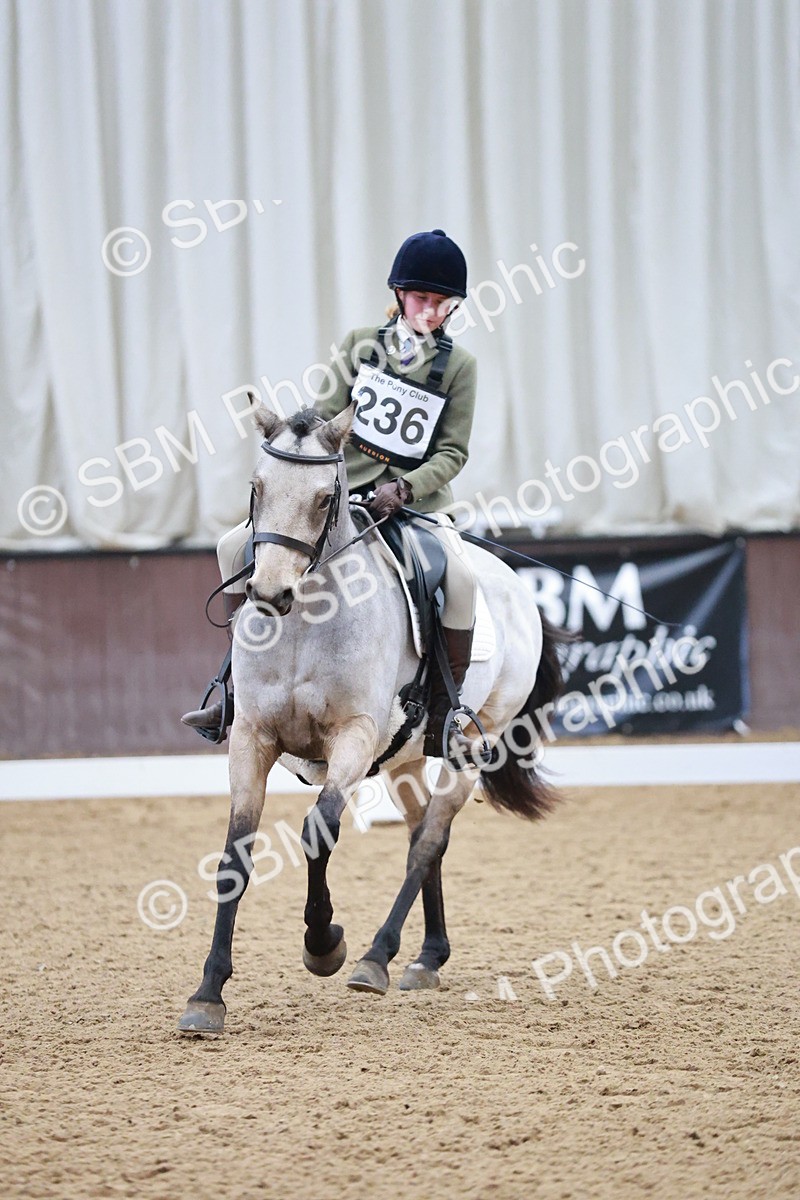 SBM_003782 - Class 2 - Novice 2020