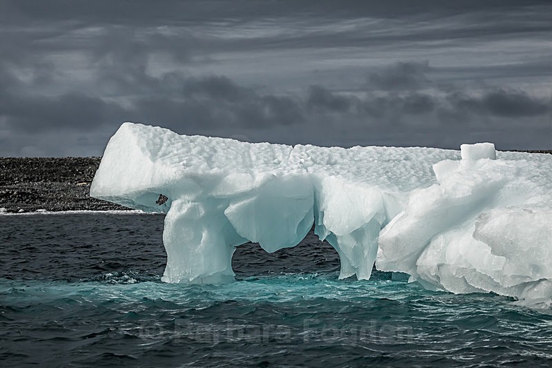 Icerberg 8517 - Trip with MS Expedition August 2016