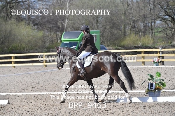 BPP_9463 - NOVICE 6