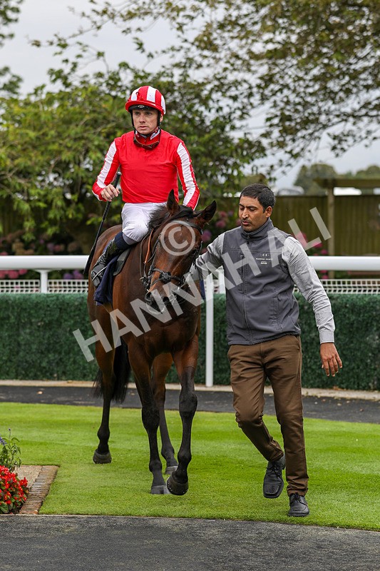 250824-Race 4-Mission Command-9423 - Race 4