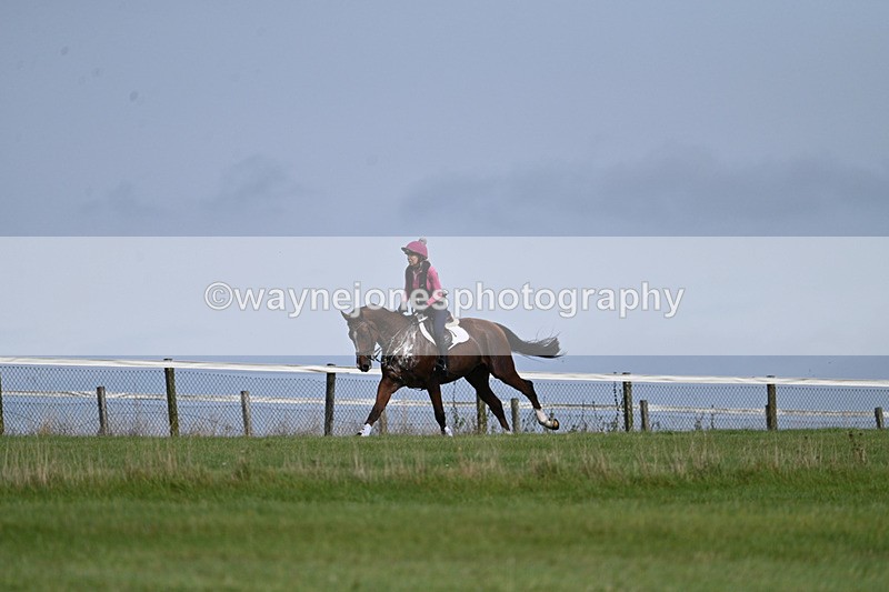 WJ7_7515 - Time 13:21 to 13:29