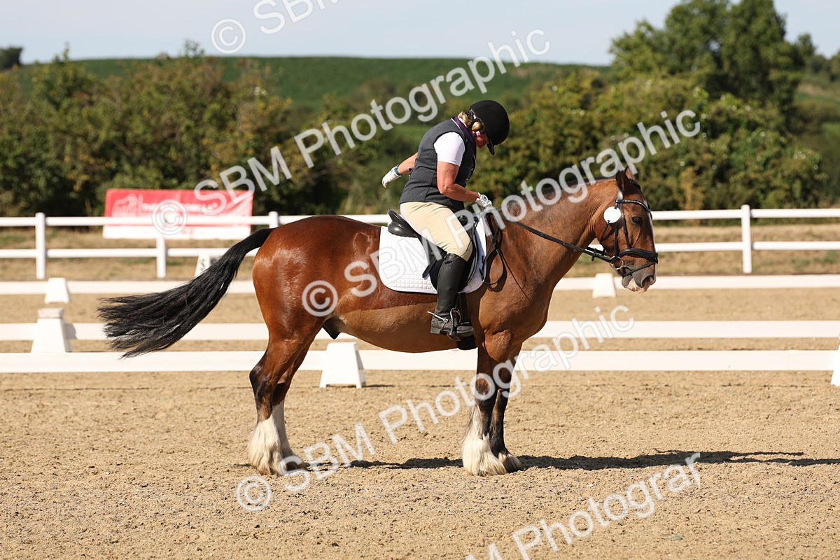 SBM_003806 - Elementary 4