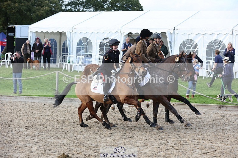 241027-152807-18337 - Presentations - BE100 3DE