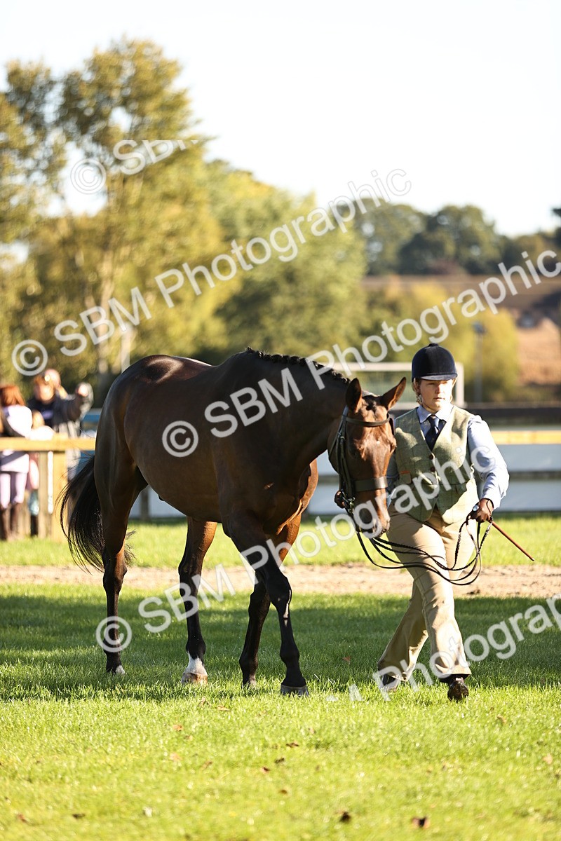 SBM_15745 - S1 - TSR in Hand Horse & Pony Showing