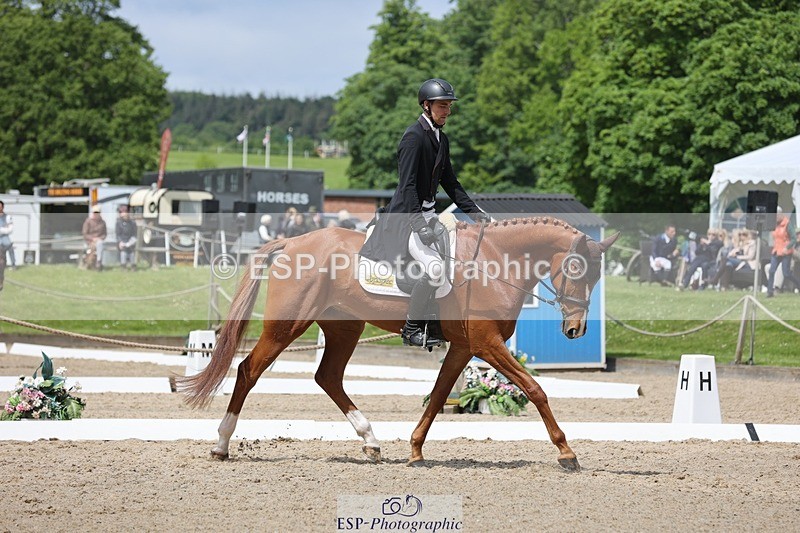 240523-120848-03720 - 223-MORNINGSTAR_VAN_ALTRIDO-Max_Warburton