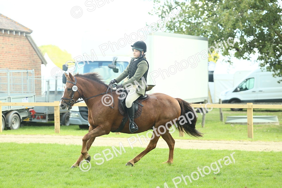 SBM_42896 - S30 - M&M Working hunter Pony
