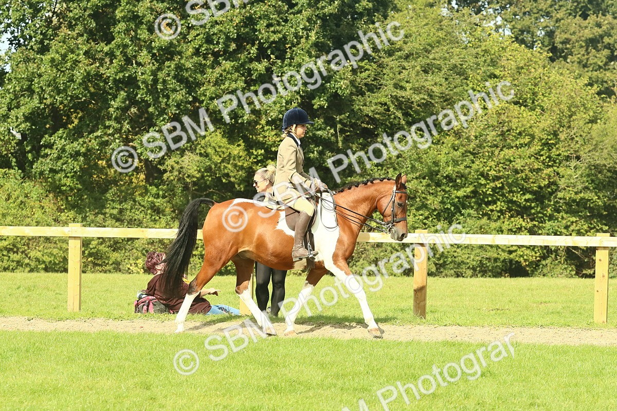 SBM_67398 - S56 - Coloured Pony Ridden