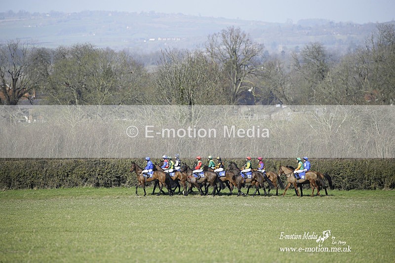 PtP 260222 29 - Kingston Blount Racing Club Point-to-Point 26/02/22