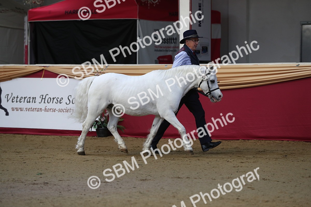 SBM_00527 - class 2a Area IH Veteran