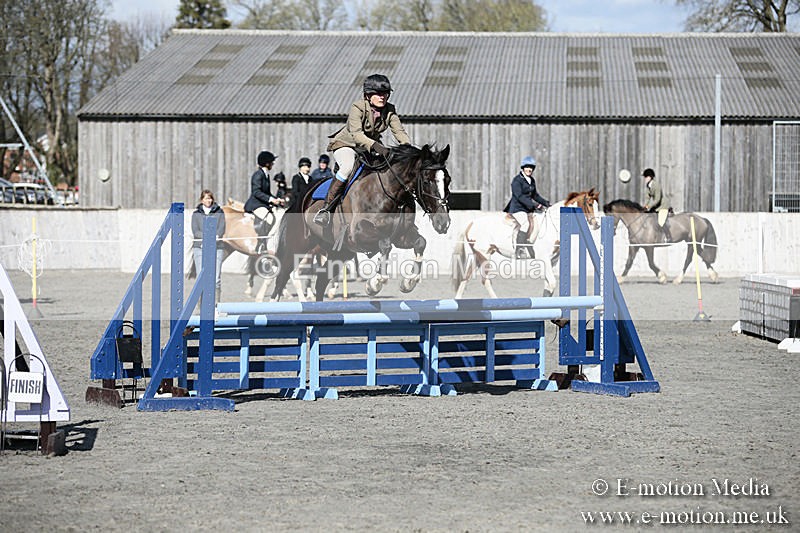 BVRC SJ 170319 526 - Bourne Valley Riding Club Showjumping 17/03/19