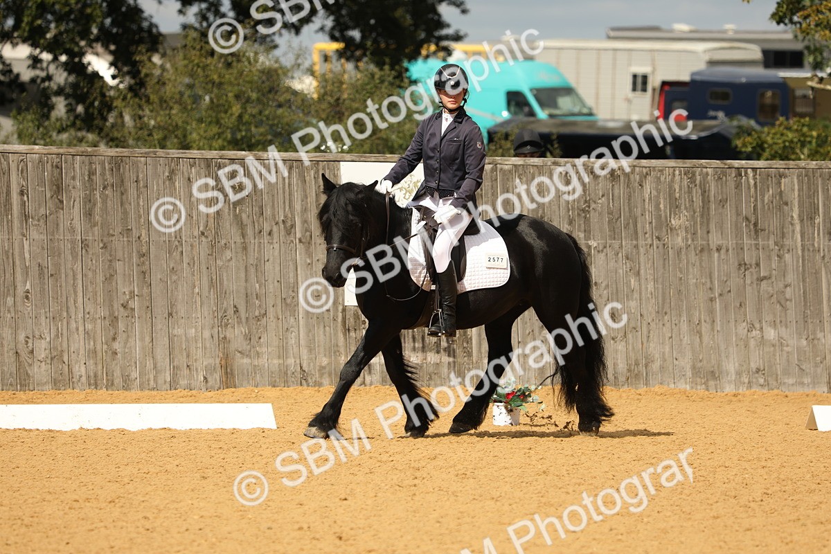 SBM_41754 - D21 - Junior Championship - Intro A