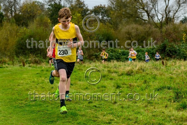 WestRLY25-911769 - Young Male Set One