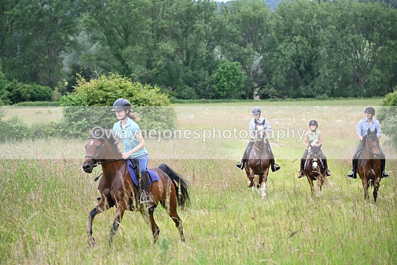 WJ6_8444 - Camera 1 Gallops