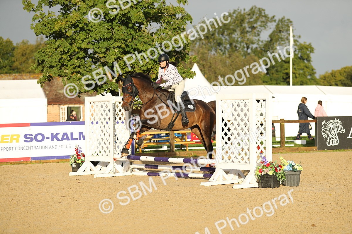 SBM_34165 - J60 Clear Round 50cm