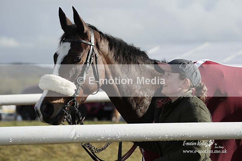 PtP 180323 1329 - Shelfield Park Races with Croome & West Warwickshire Hunt  18/03/23