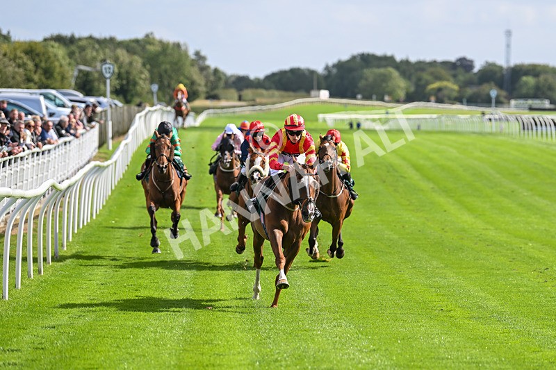 100924-Race 1-The Dancing Poet-9867 - Race 1