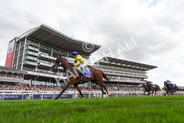 yr20082022r2-36 - Race 2 2.35pm Sky Bet Melrose Stakes