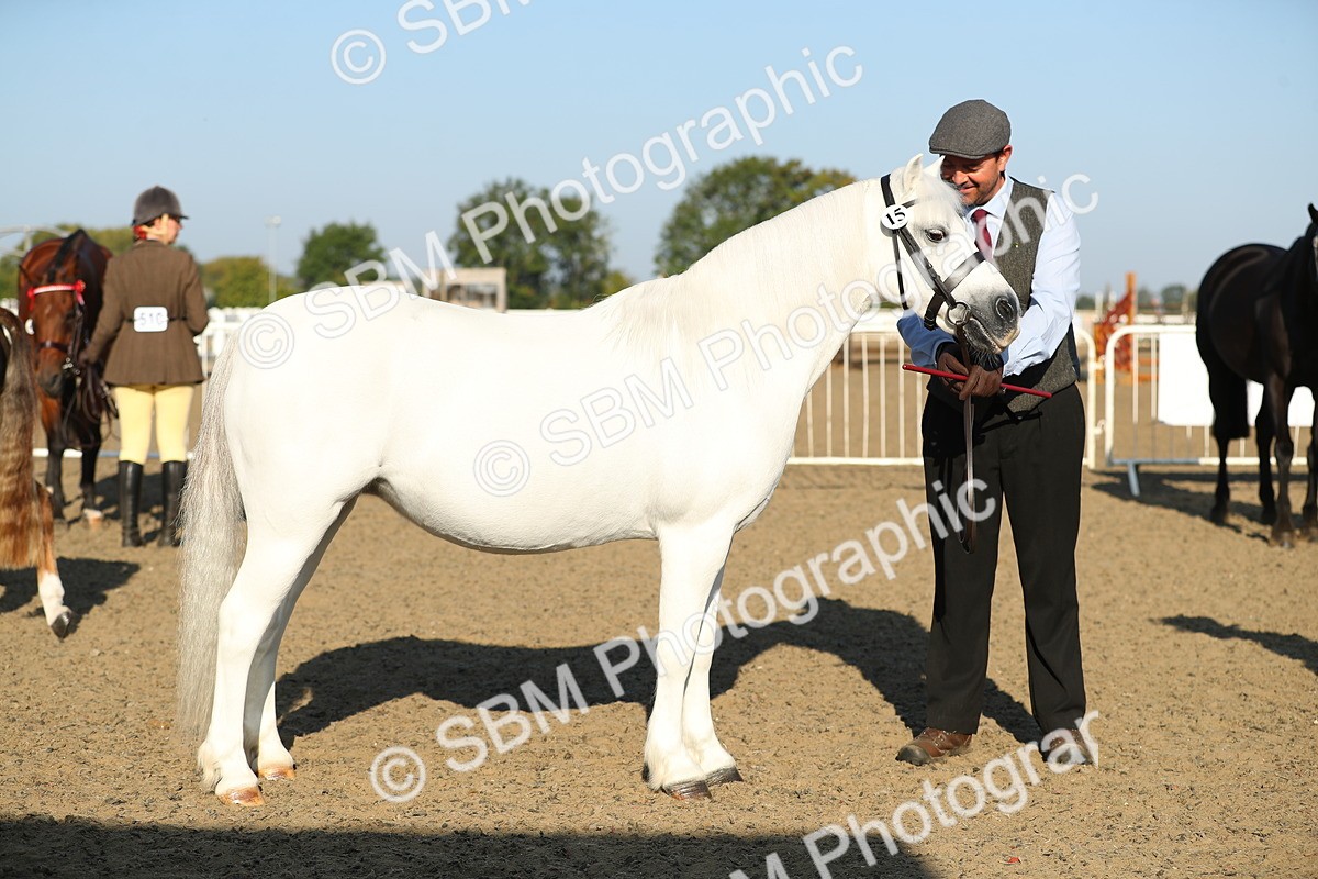 SBM_00032 - Class 40 Best Turned Out IH