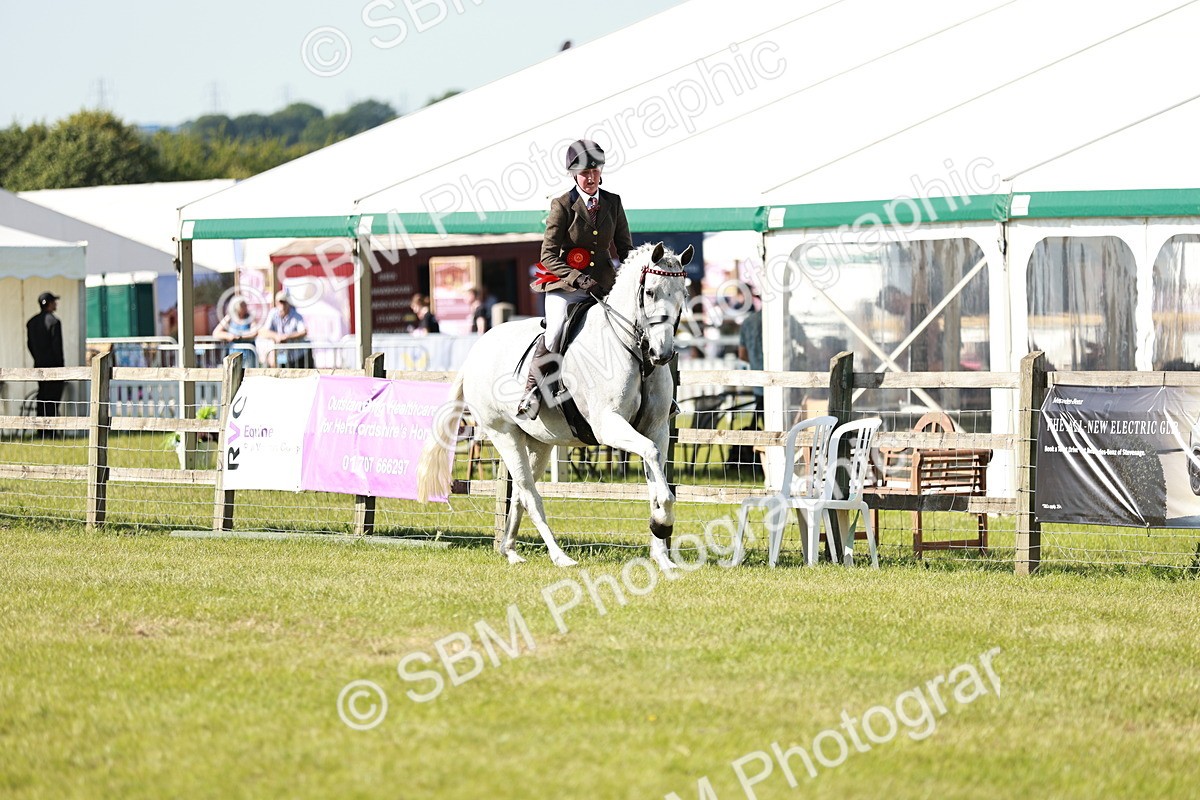 SBM_18952 - Class 114 - RIHS & SEIB Open Working Show Horse